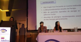 VI Congreso Colombo-Ecuatoriano